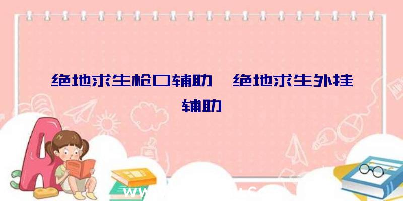 绝地求生枪口辅助、绝地求生外挂辅助