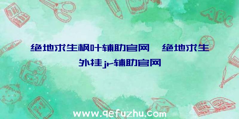 绝地求生枫叶辅助官网、绝地求生外挂jr辅助官网