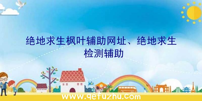 绝地求生枫叶辅助网址、绝地求生