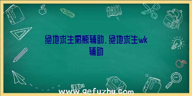 绝地求生枭熊辅助、绝地求生wk辅助