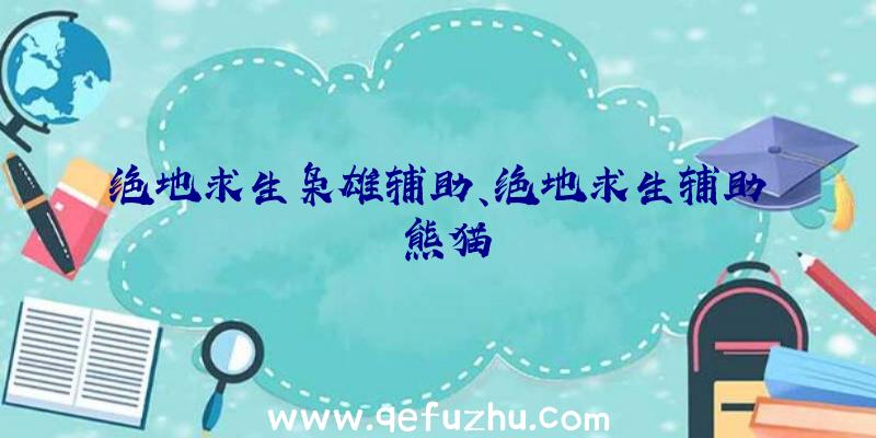 绝地求生枭雄辅助、绝地求生辅助