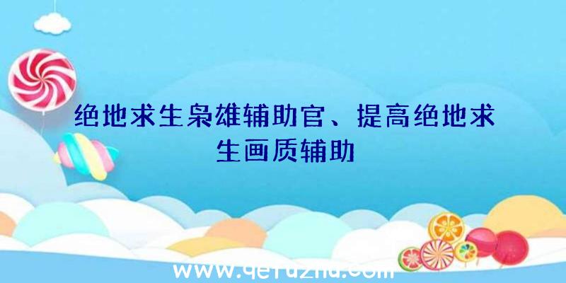 绝地求生枭雄辅助官、提高绝地求生画质辅助