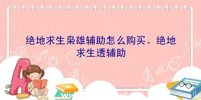 绝地求生枭雄辅助怎么购买、绝地求生透辅助