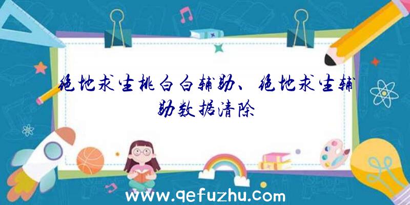 绝地求生桃白白辅助、绝地求生辅助数据清除