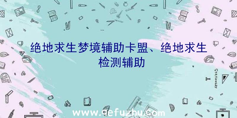 绝地求生梦境辅助卡盟、绝地求生