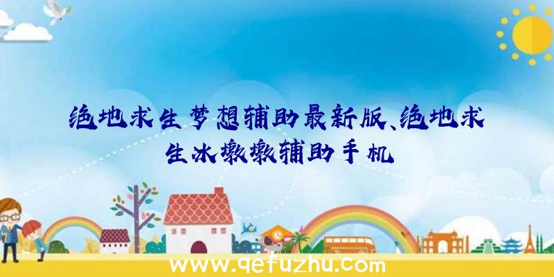 绝地求生梦想辅助最新版、绝地求生冰墩墩辅助手机
