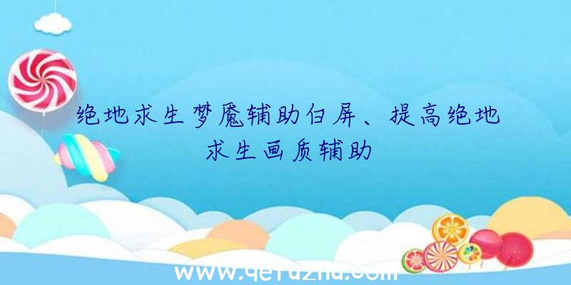 绝地求生梦魇辅助白屏、提高绝地求生画质辅助