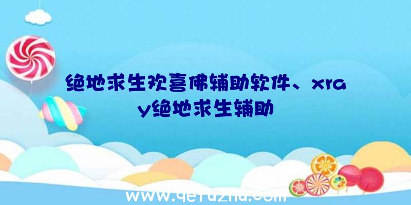 绝地求生欢喜佛辅助软件、xray绝地求生辅助