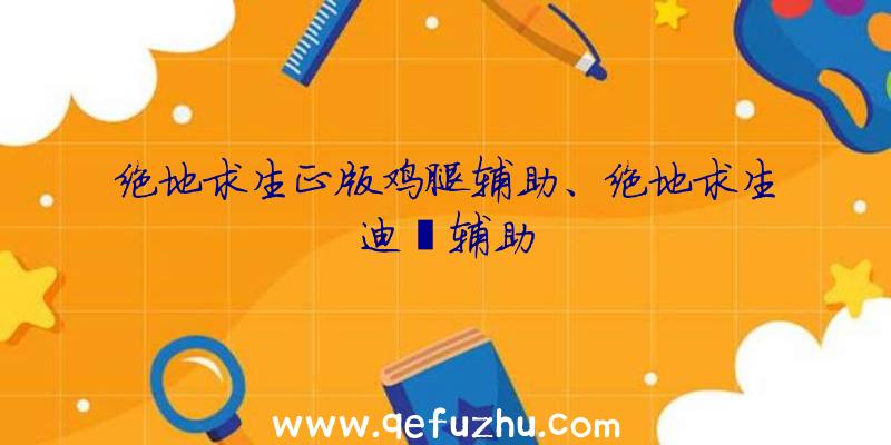 绝地求生正版鸡腿辅助、绝地求生迪迦辅助