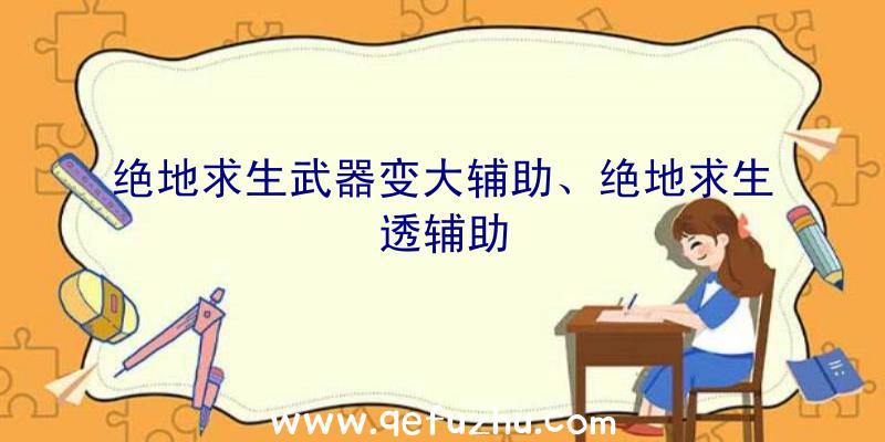 绝地求生武器变大辅助、绝地求生透辅助