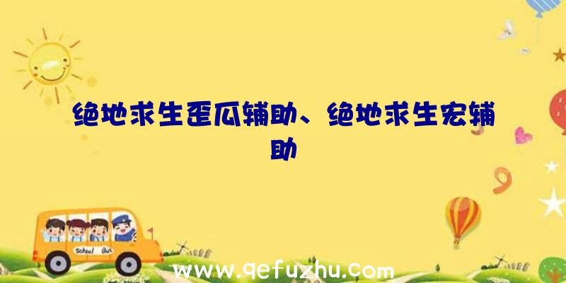 绝地求生歪瓜辅助、绝地求生宏辅助