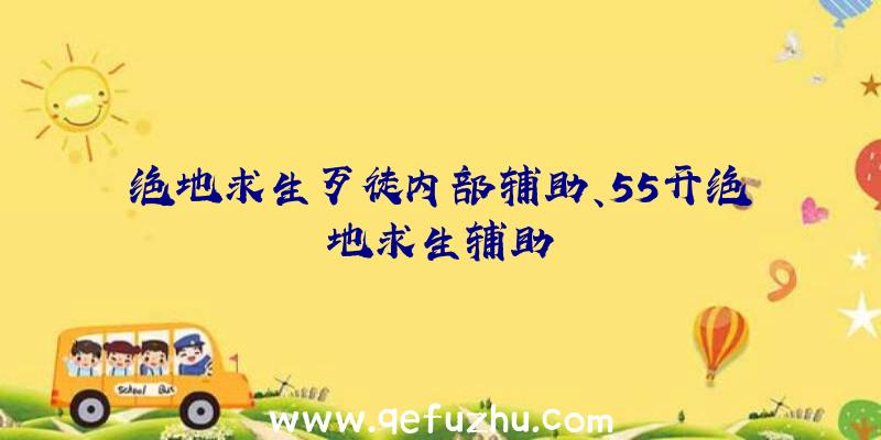 绝地求生歹徒内部辅助、55开绝地求生辅助