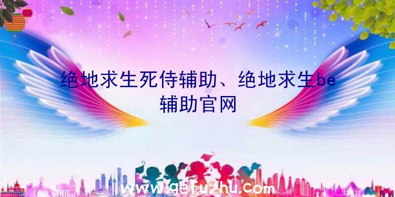 绝地求生死侍辅助、绝地求生be辅助官网