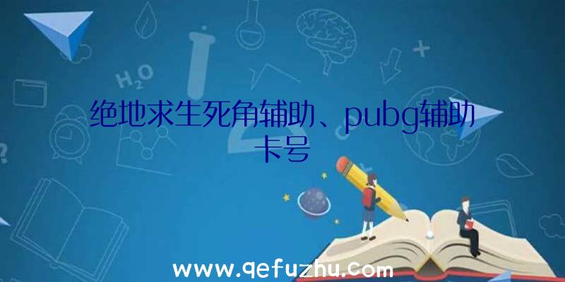 绝地求生死角辅助、pubg辅助卡号