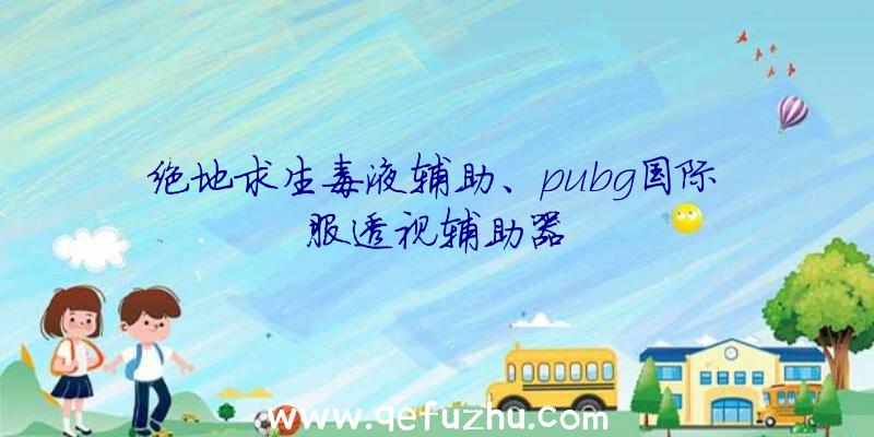 绝地求生毒液辅助、pubg国际服透视辅助器