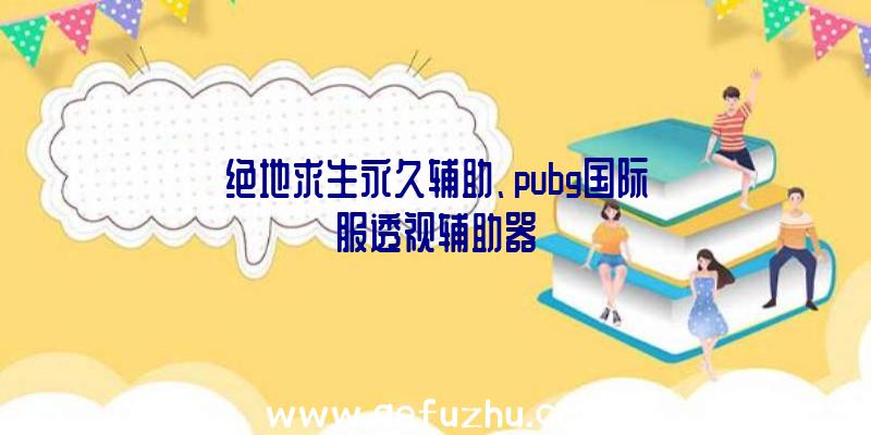 绝地求生永久辅助、pubg国际服透视辅助器