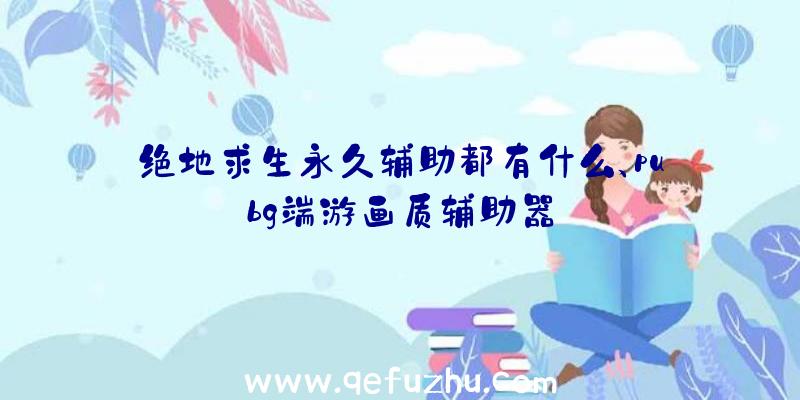 绝地求生永久辅助都有什么、pubg端游画质辅助器