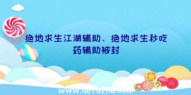 绝地求生江湖辅助、绝地求生秒吃药辅助被封