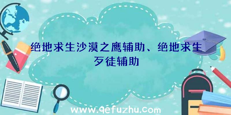 绝地求生沙漠之鹰辅助、绝地求生歹徒辅助