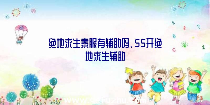 绝地求生泰服有辅助吗、55开绝地求生辅助