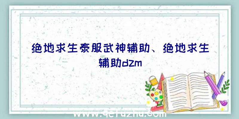 绝地求生泰服武神辅助、绝地求生辅助dzm