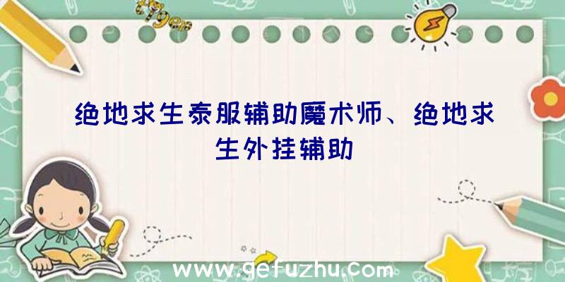 绝地求生泰服辅助魔术师、绝地求生外挂辅助