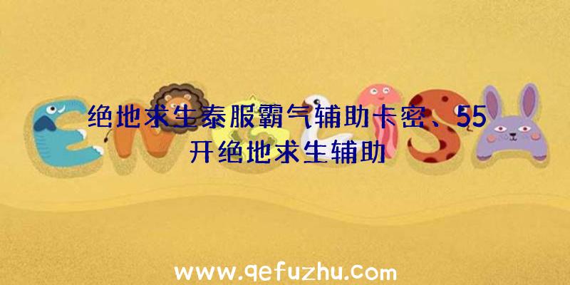 绝地求生泰服霸气辅助卡密、55开绝地求生辅助