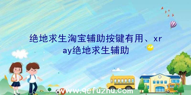 绝地求生洶宝辅助按键有用、xray绝地求生辅助