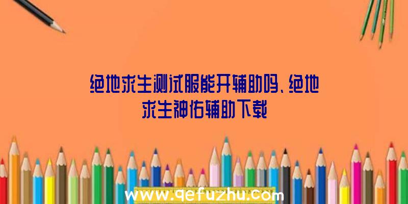 绝地求生测试服能开辅助吗、绝地求生神佑辅助下载