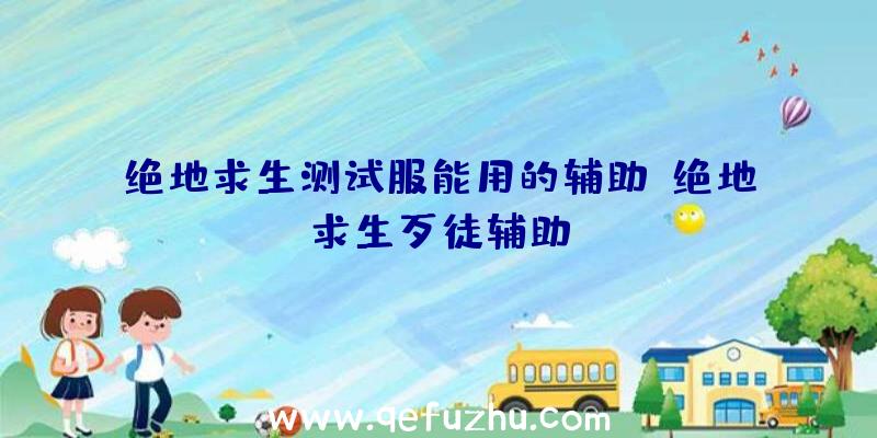 绝地求生测试服能用的辅助、绝地求生歹徒辅助