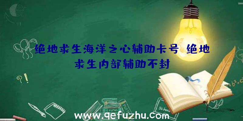 绝地求生海洋之心辅助卡号、绝地求生内部辅助不封