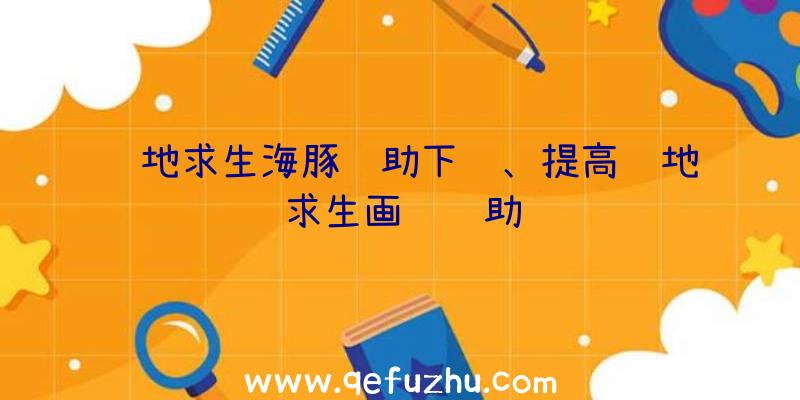 绝地求生海豚辅助下载、提高绝地求生画质辅助