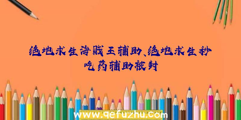 绝地求生海贱王辅助、绝地求生秒吃药辅助被封