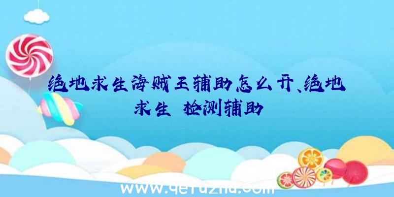 绝地求生海贼王辅助怎么开、绝地求生