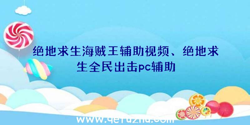 绝地求生海贼王辅助视频、绝地求生全民出击pc辅助