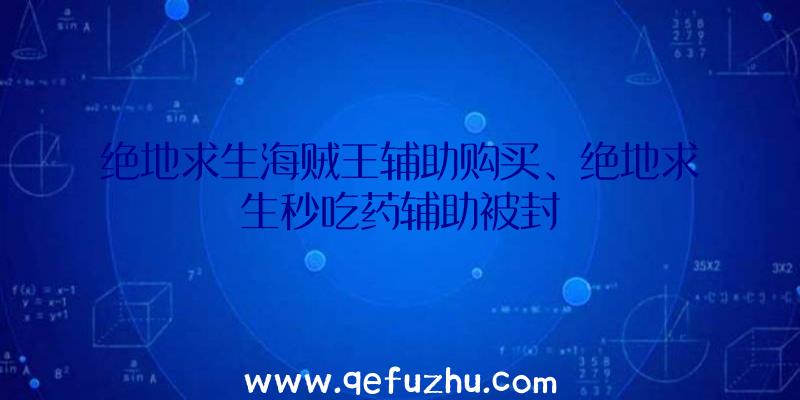 绝地求生海贼王辅助购买、绝地求生秒吃药辅助被封