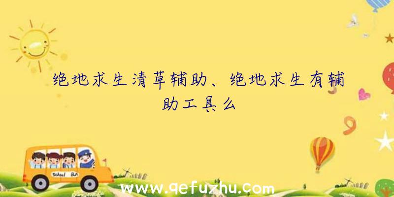 绝地求生清草辅助、绝地求生有辅助工具么