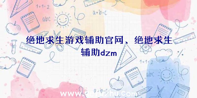 绝地求生游戏辅助官网、绝地求生辅助dzm