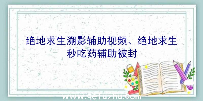 绝地求生溯影辅助视频、绝地求生秒吃药辅助被封