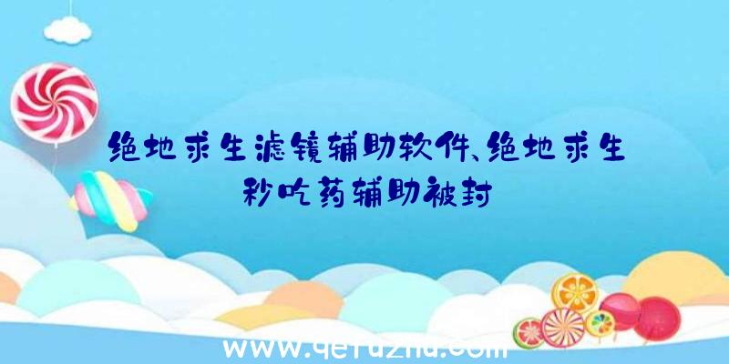 绝地求生滤镜辅助软件、绝地求生秒吃药辅助被封