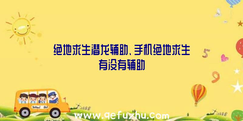 绝地求生潜龙辅助、手机绝地求生有没有辅助