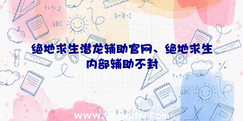 绝地求生潜龙辅助官网、绝地求生内部辅助不封