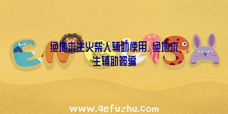 绝地求生火柴人辅助使用、绝地求生辅助被骗