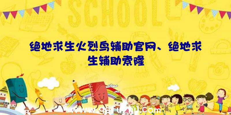 绝地求生火烈鸟辅助官网、绝地求生辅助索隆