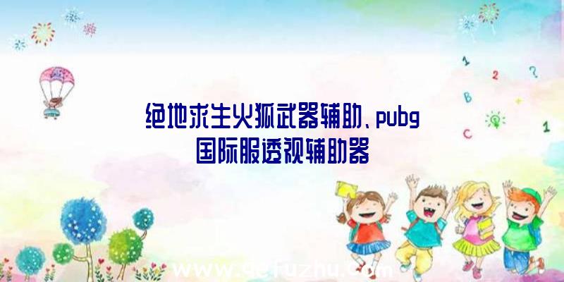 绝地求生火狐武器辅助、pubg国际服透视辅助器