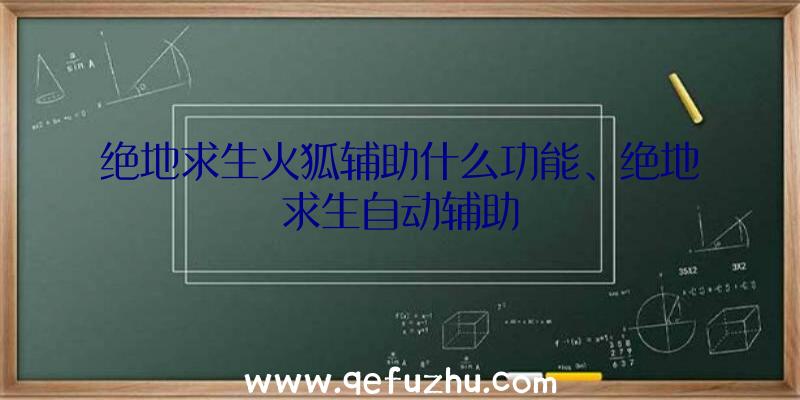 绝地求生火狐辅助什么功能、绝地求生自动辅助