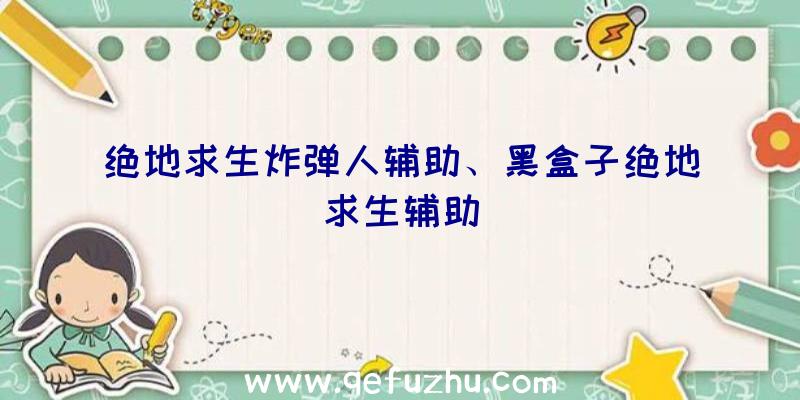 绝地求生炸弹人辅助、黑盒子绝地求生辅助