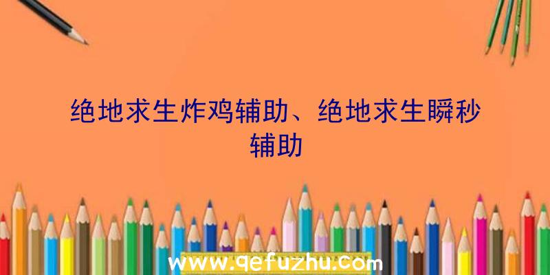 绝地求生炸鸡辅助、绝地求生瞬秒辅助