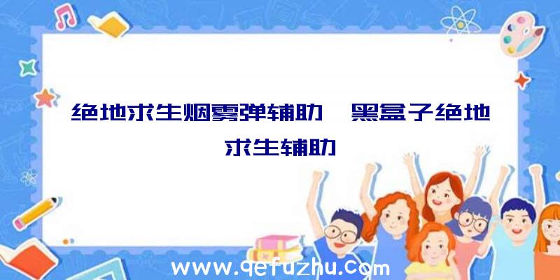 绝地求生烟雾弹辅助、黑盒子绝地求生辅助