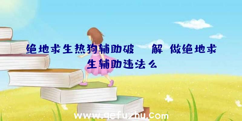 绝地求生热狗辅助破解、做绝地求生辅助违法么